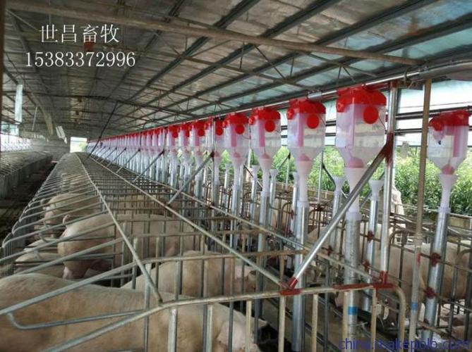 优质自动化上料系统猪用 养殖器械厂家供应价格-「其他畜牧养殖机械」