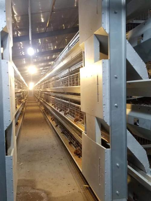 畜牧养殖自动化设备-禽类养殖自动化设备-湖北明旺机械设备制造有限