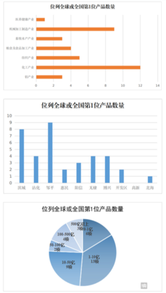 滨州造的“冠军产品”知多少? 全球第一4项 全国第一33项